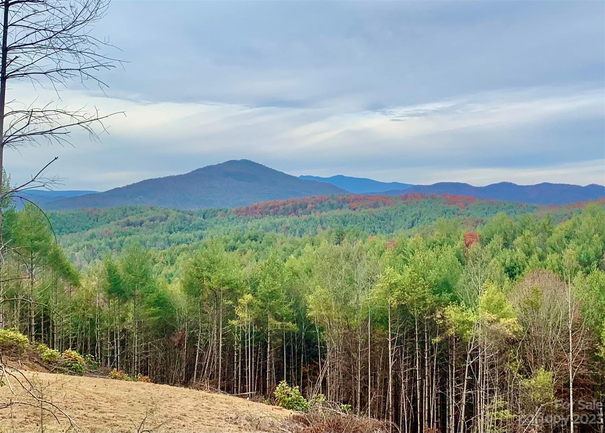 3.61 acres with majestic Blue Ridge Mountain views. Includes build site topo survey and county septic permit. Flat build site, buried electric + fiber for internet/cable tv. Lot is on both sides of street; no neighbor across the street. Just above Johns River at The Coves Mountain River Club, a 3,200 acre gated community. 5 miles of Johns River to kayak, fish, pan for gold, even a swimming hole. Private trails to hike, bike, ride horses or UTV. Clubhouse with 360° long range mountain views, great room - vaulted post+beam ceilings, 3 sided fireplace, full kitchen, fitness center, locker rooms, porches, viewing decks, pool, hot-tub, fire pits, pool table, pingpong. 2 Equestrian Centers. Pickle-ball courts, putting green. Community vineyard + garden. Social + recreational calendar; clubs, excursions, classes. +/- 2 miles to Pisgah National Forest and Wilson Creek Wild & Scenic River. 1.25 hr to Charlotte/Asheville. Mins to Blowing Rock, Lenoir, Morganton, Blue Ridge Pkwy.