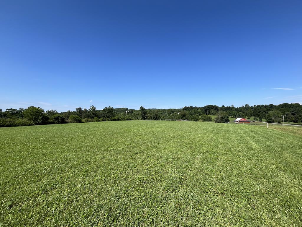 This beautiful 2.0261 acre unrestricted building lot is located just seconds from the Blue Ridge Parkway and offers beautiful countryside views and a view of Pilot Mountain!   Features include paved road frontage on Pilot View Drive, level to gently sloping land with no clearing necessary, multiple building sites with views of the neighbor's barn and pond or Pilot Mountain, and the lawn is already established and thriving!  Don't miss out on the special place to build your dream home, park your RV, or just camp for the weekend with great access to the Blue Ridge Parkway!