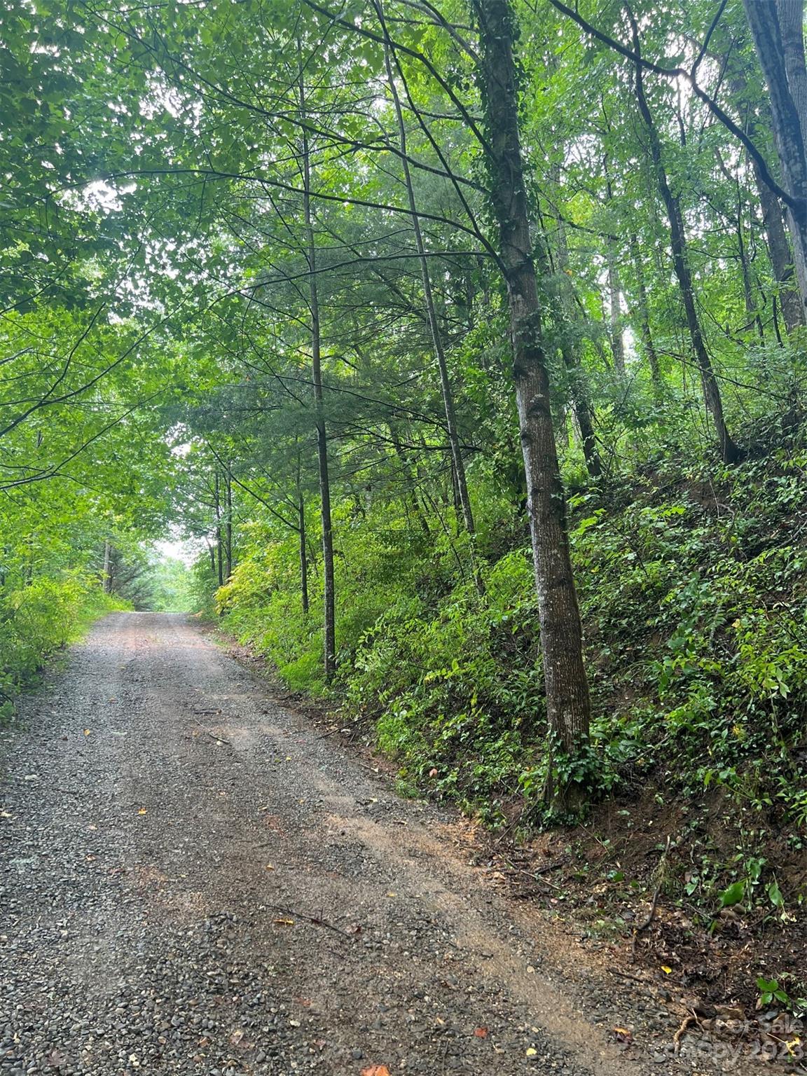 Asheville North Carolina Land for Sale at 5 Whisper Creek Lane NC