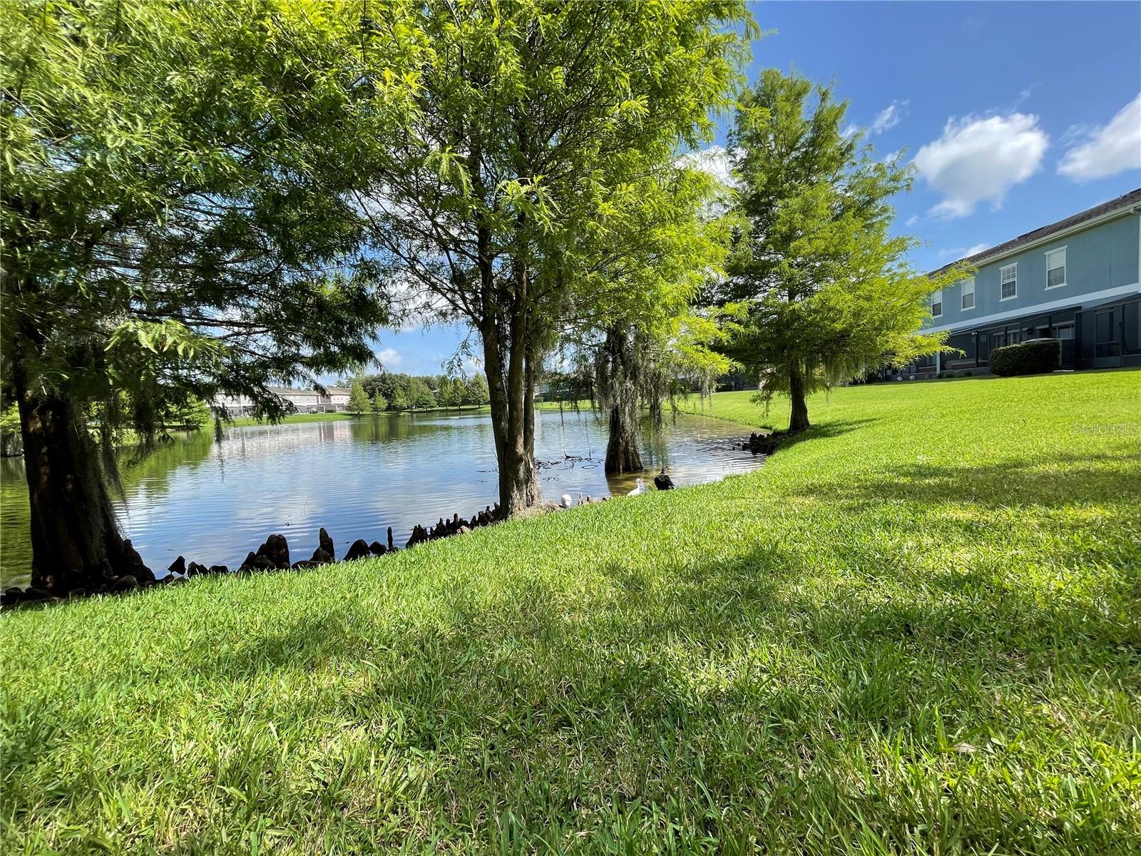 2432 Caravelle Circle
