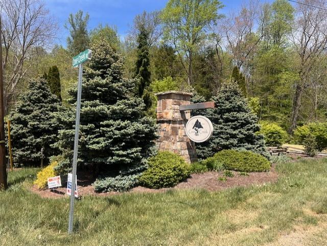 NOW YOU CAN BUILD YOUR DREAM HOME IN THE BEAUTIFUL MOUNTAINS OF SW VIRGINIA! THIS PROPERTY IS AN OASIS FOR ITS BEAUTIFUL MOUNTAIN STREAMS, AMPLE WILDLIFE, FISHING AND MUCH MUCH MORE!! THIS PRIVATE GATED COMMUNITY IS WITHIN A FEW MILES OF SHOPPING, RECREATION, MEDICAL AND MORE!! TAZEWELL COUNTY IS ONE OF THE BEST KEPT SECRETS! COME AND SEE FOR YOURSELF!