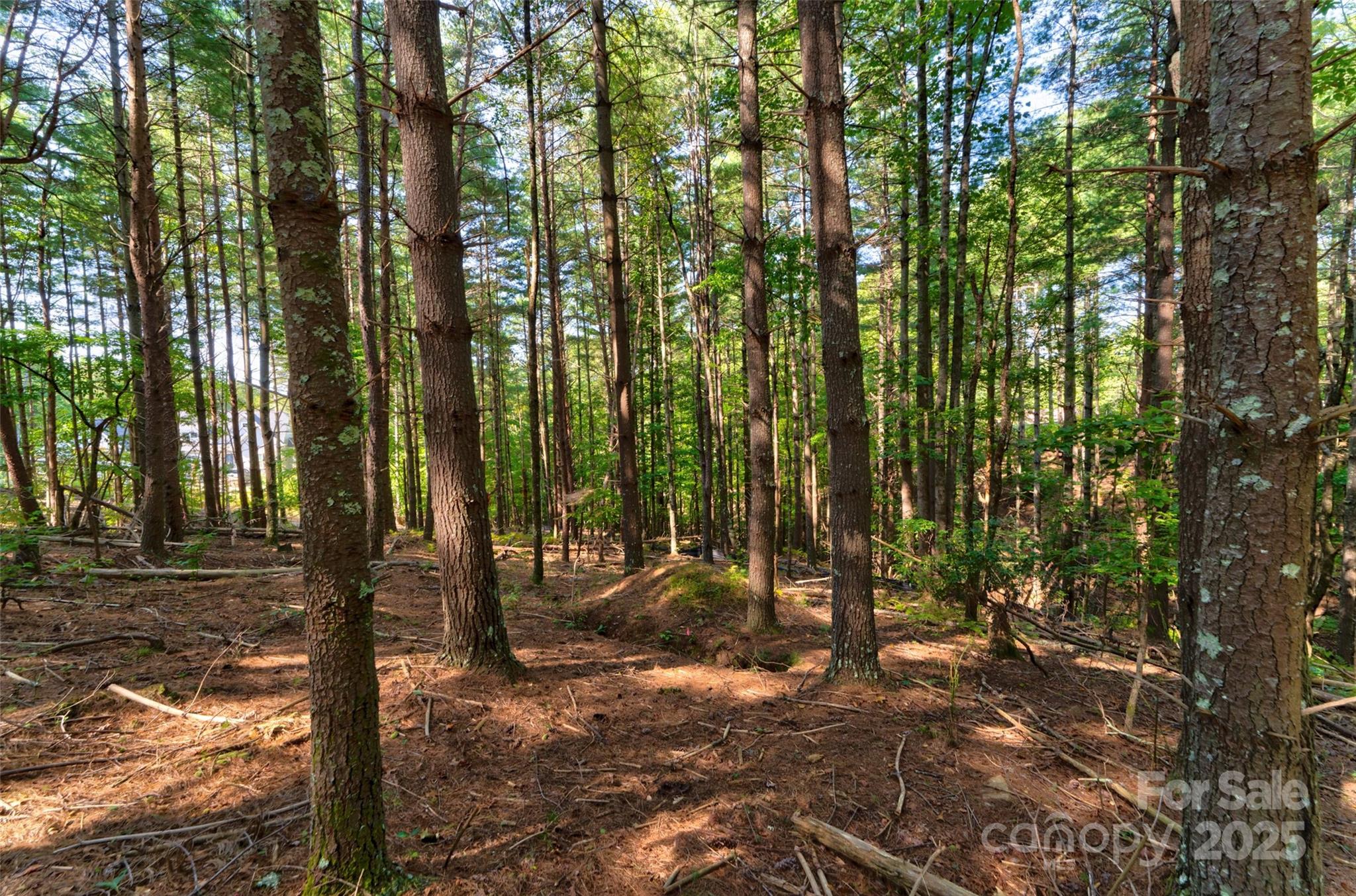 77 Whispering Pines Trail 82