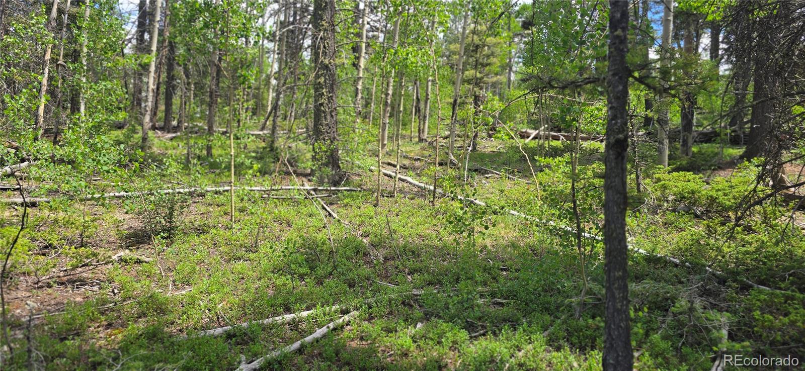 Lot 5778 Balleroy Road
