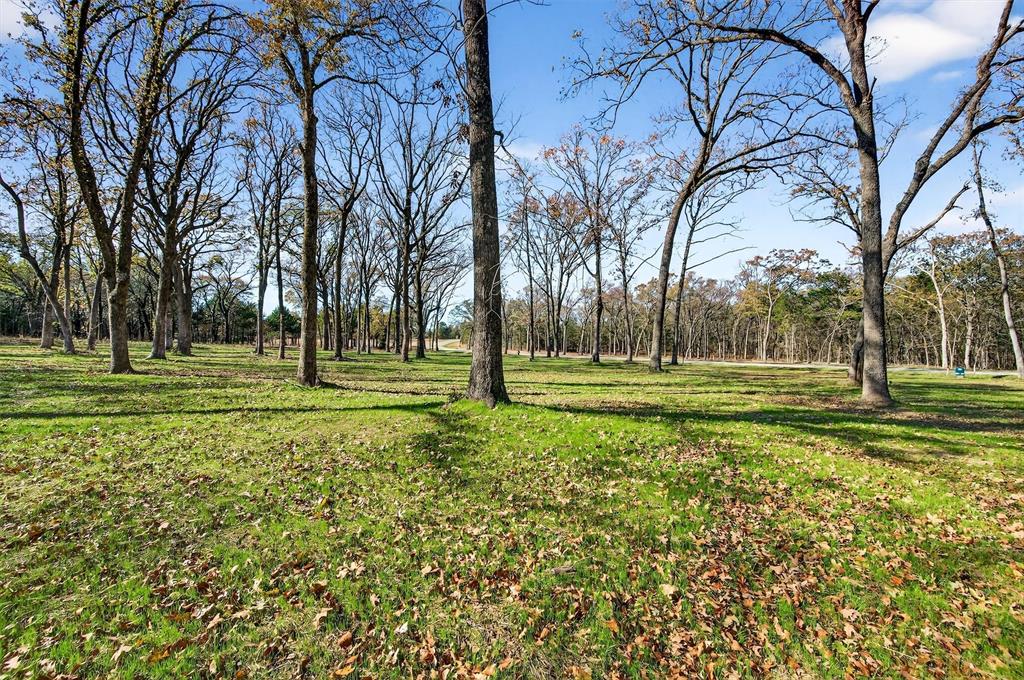 Lot 15 Buck Trail