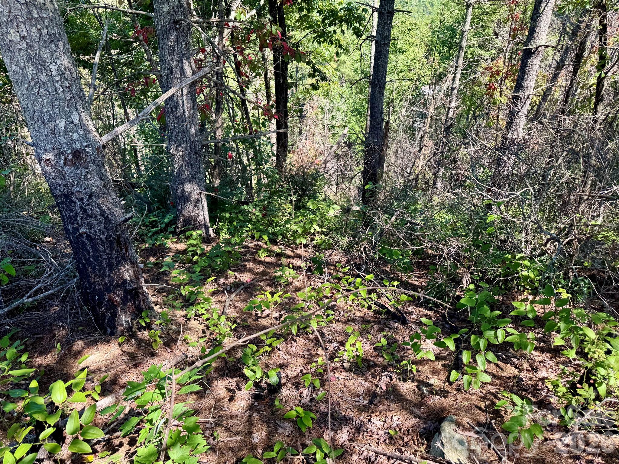 1.46 acres, Lot 48 Tomahawk Ridge Drive Lot 48