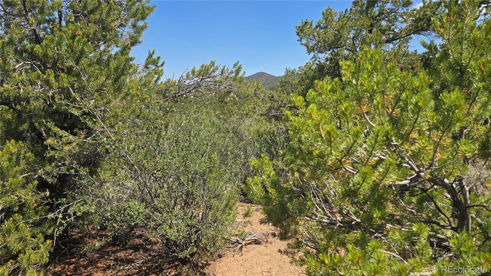 Lot 1615 Dunn Road