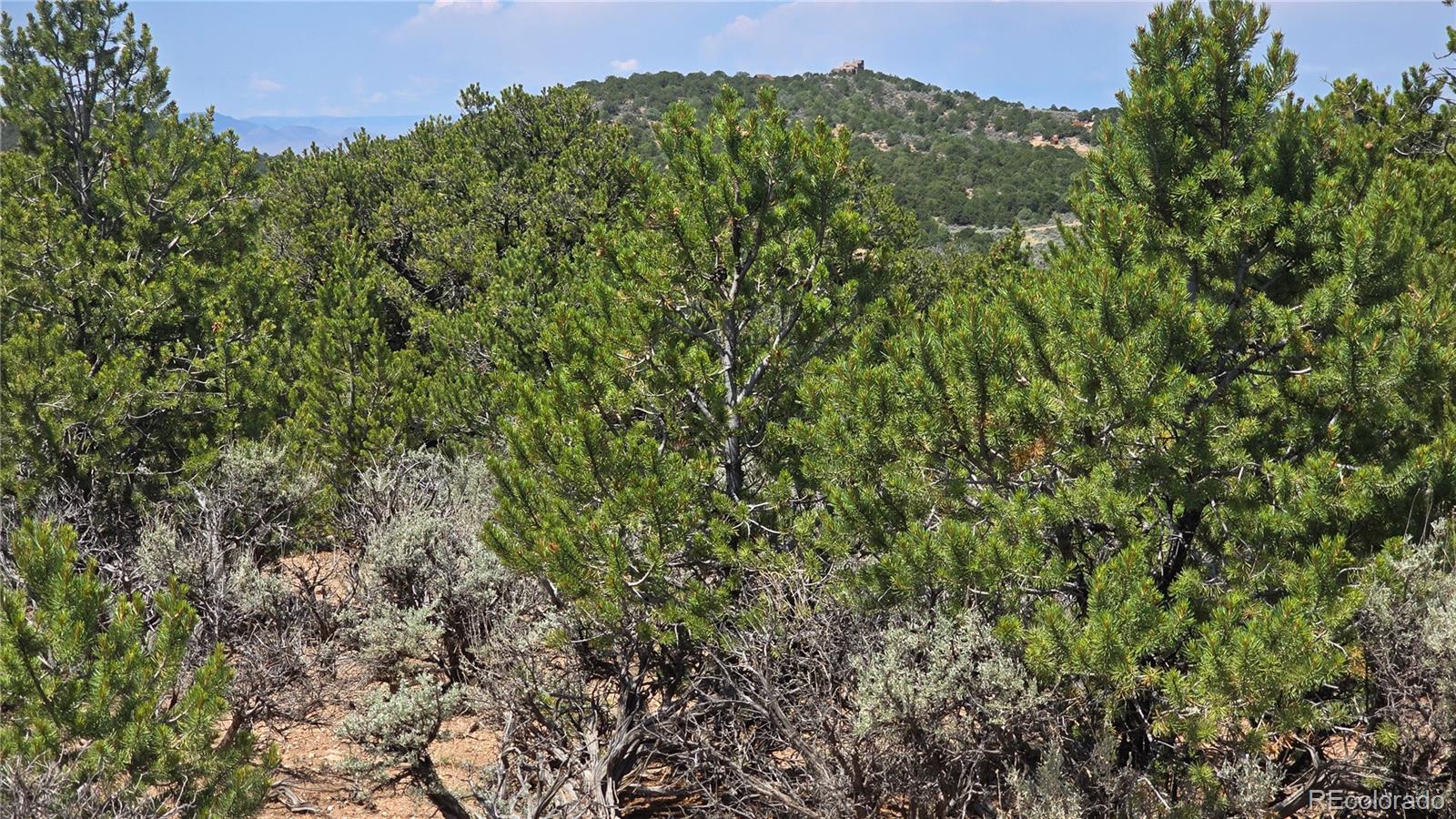Lot 1615 Dunn Road