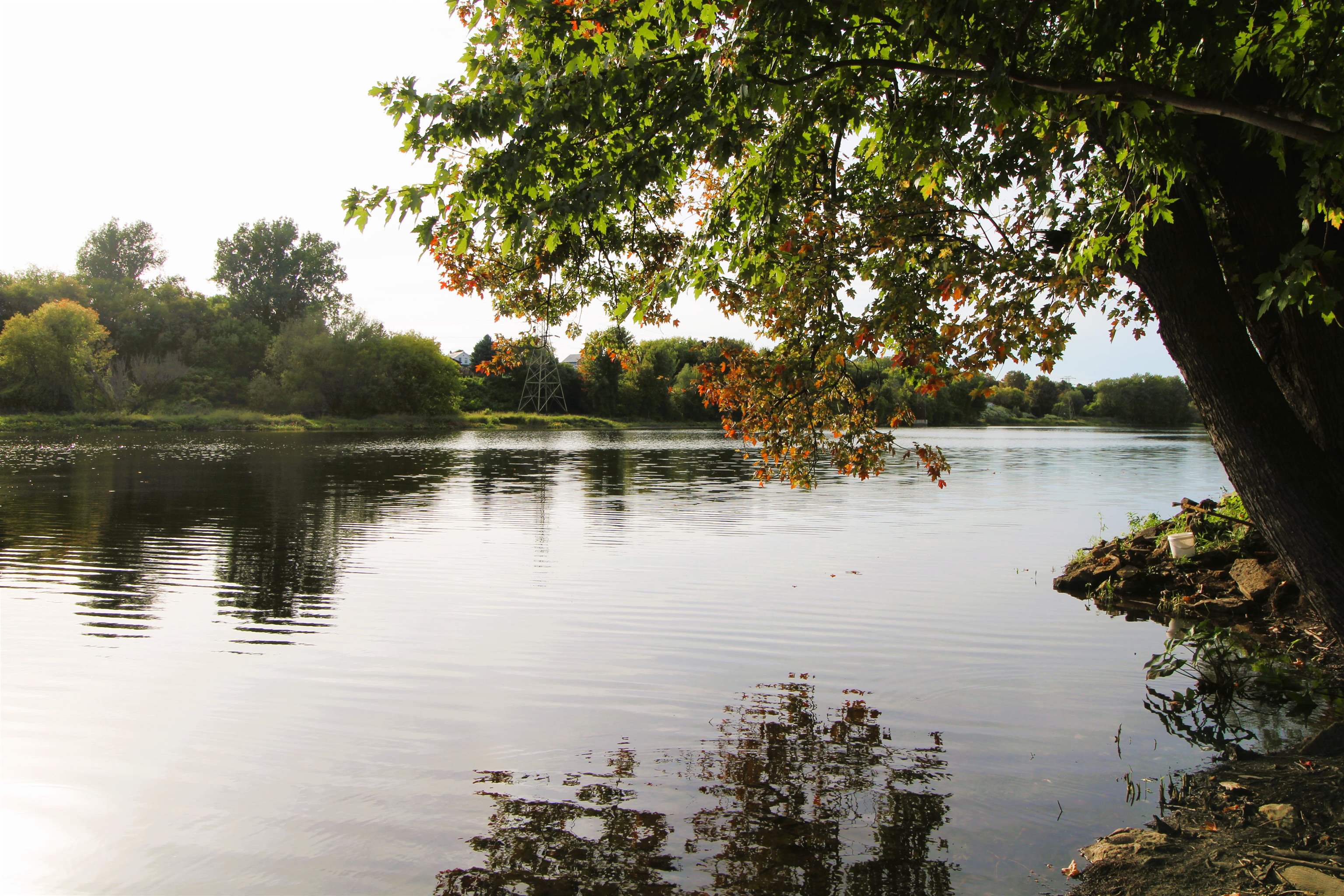 1227 Mechanic Street