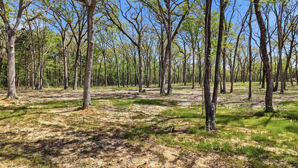 Lot 13 Buck Trail Road