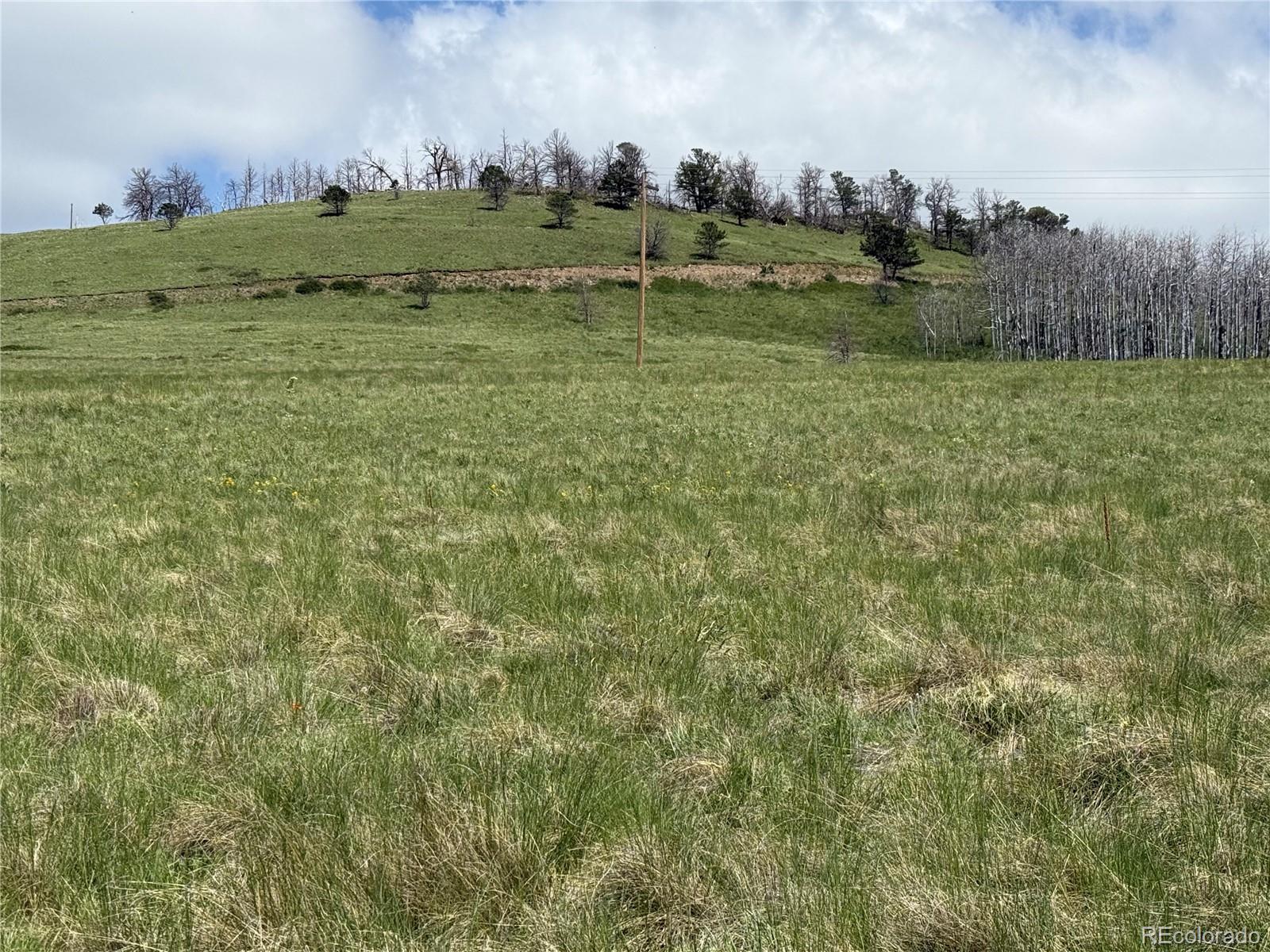Lot 428 Powers Road