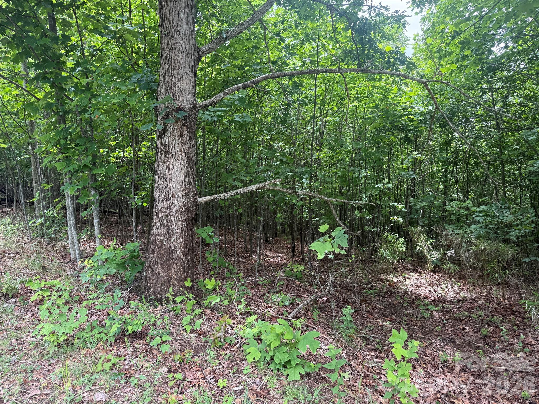 V/L Scenic Vista Drive 246