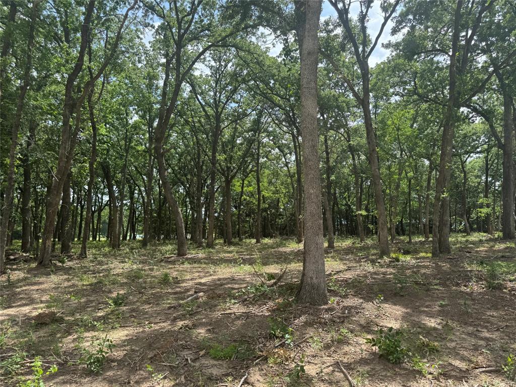 1216 Buck Trail