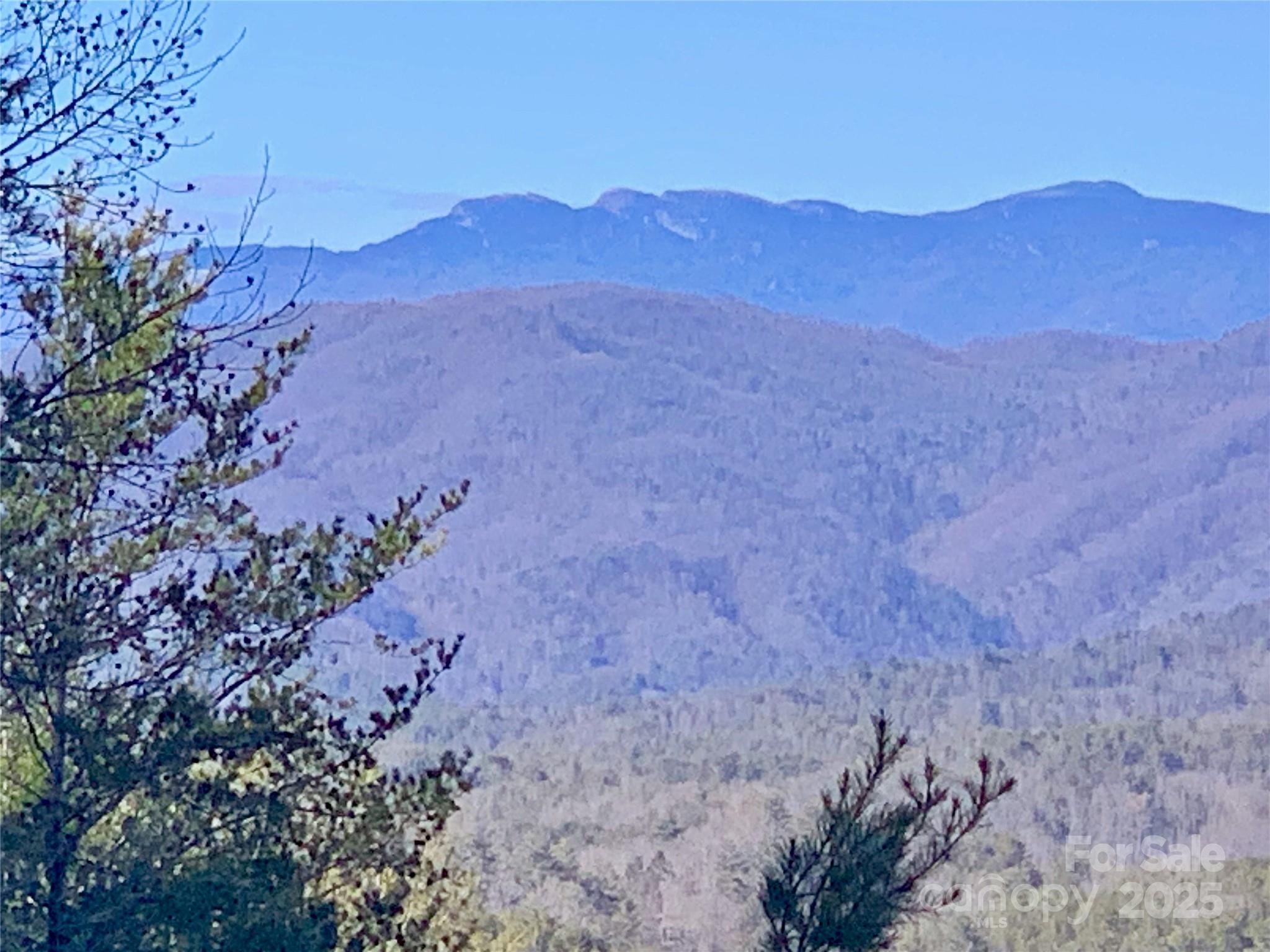 1879 Johns Ridge Parkway Lot 163