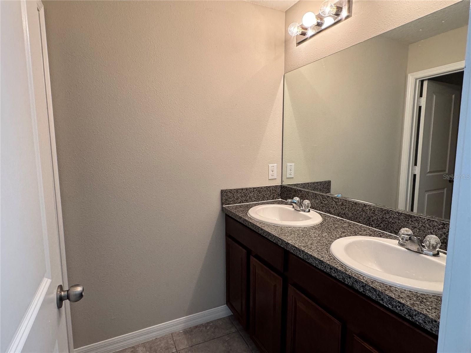 10013 Crested Fringe Drive