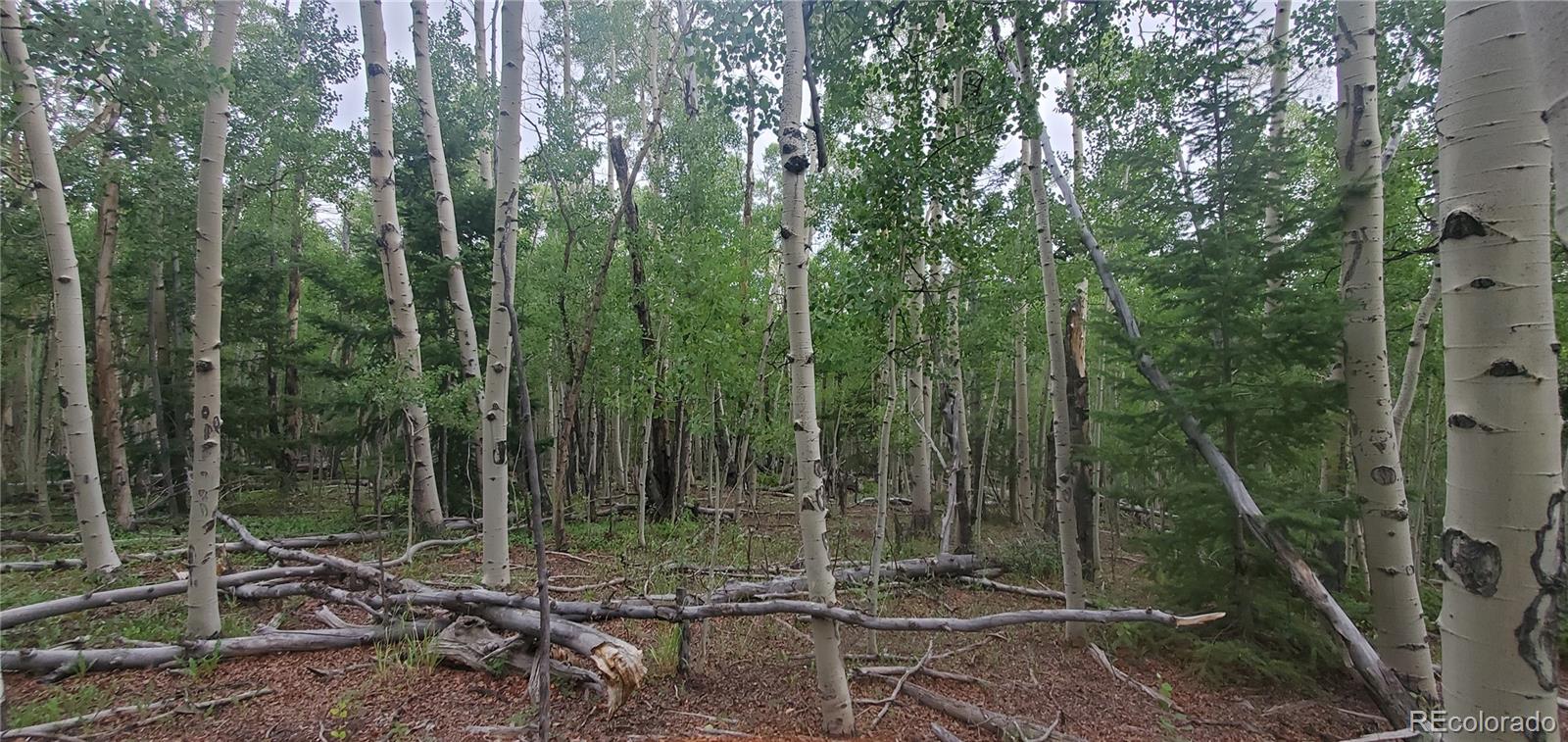 Lot 5837 Sheldon Road