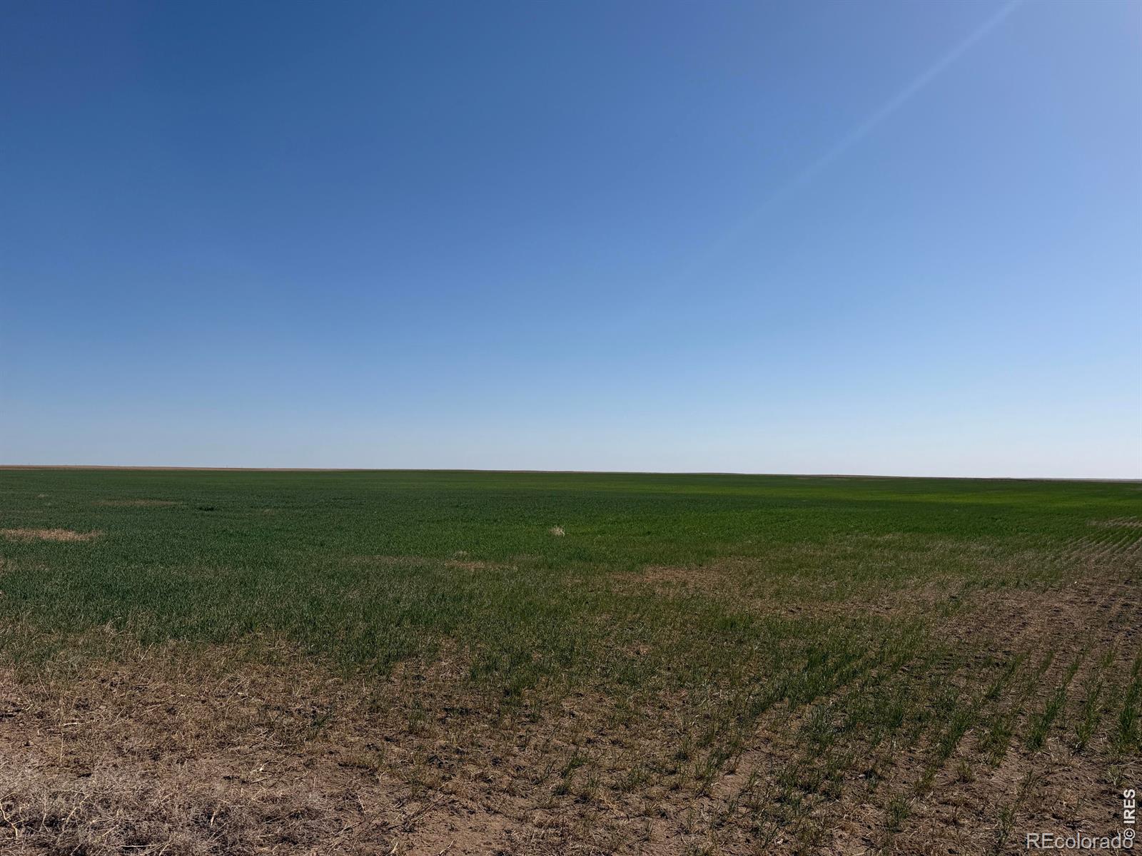 Located just north and east of Flagler, Colorado, in Kit Carson County, this excellent 144.7-acre farm offers a compelling opportunity for both operators and investors. Legally described as the Northwest Quarter of Section 31, Township 8 South, Range 50 West, the property features productive dryland acreage with predominantly Class III soils and a proven farming history. Approximately 63% base acres combined with high PLC yields provide added program value, supporting long-term productivity and income potential. The farm is currently cash-leased for the 2026 wheat crop; the seller will retain the cash lease. Possession of the fallow will be granted upon conclusion of the auction, with execution of the sales contract, and deposit of earnest money, subject to the existing lease. This property will be offered via online-only auction beginning May 15, 2026, at 2:00 PM Mountain Time and closing May 20, 2026, at 2:00 PM Mountain Time with a soft close. Held in the same family since 1998, this tract has been well-maintained and is conveniently located within 2 miles of Flagler, providing easy access to local grain markets and services.