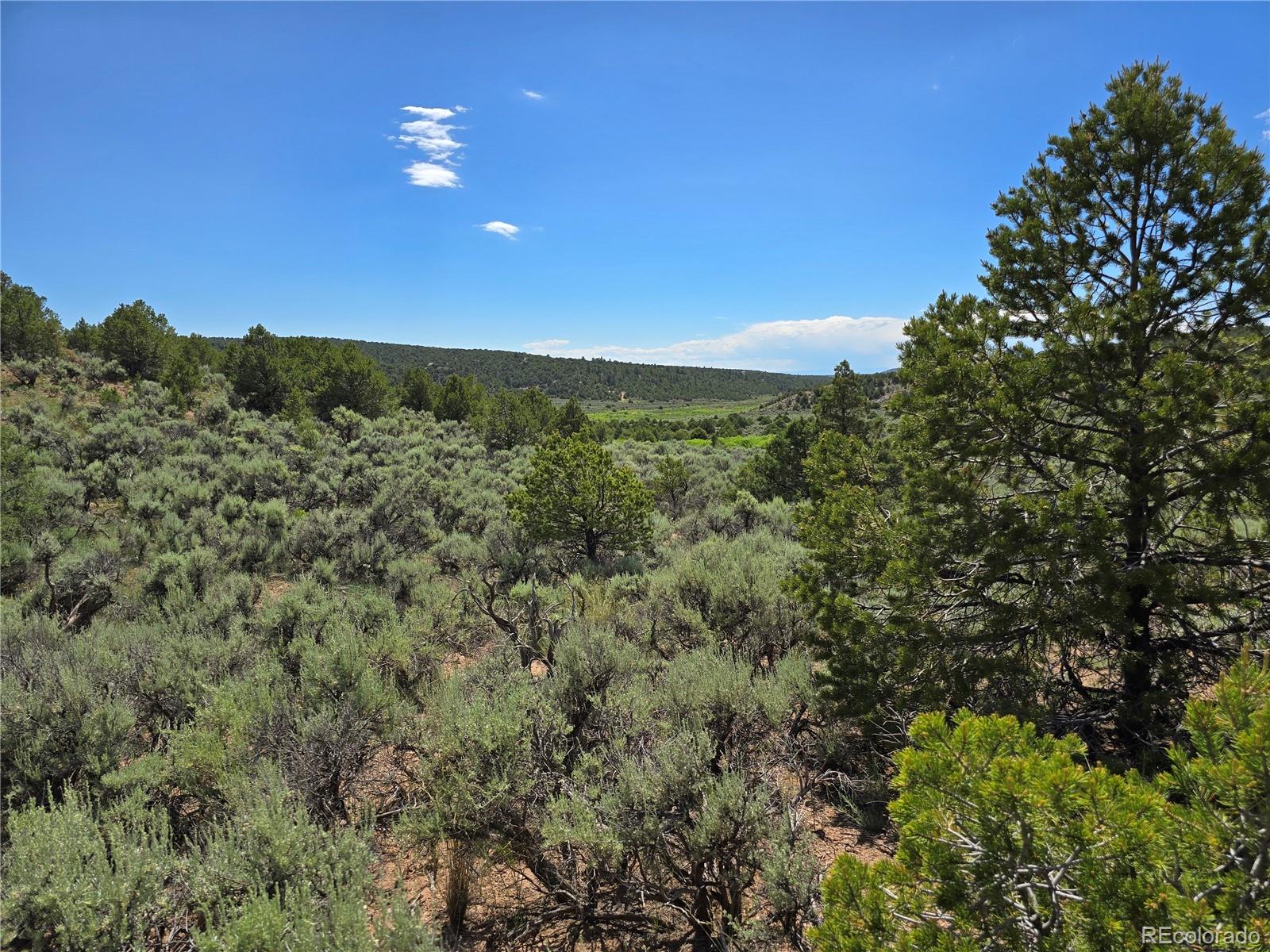 7572 Dashiell Road