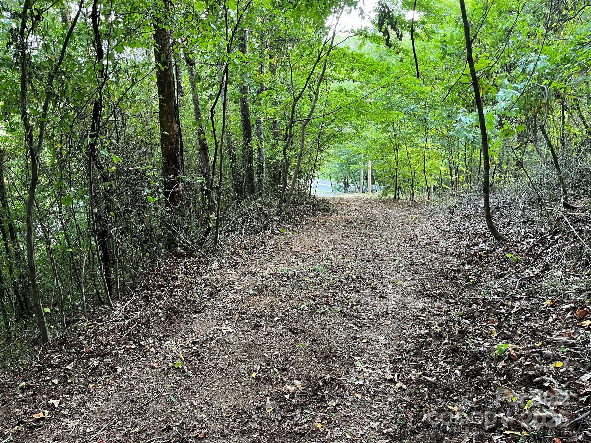 1961 Cane Creek Road