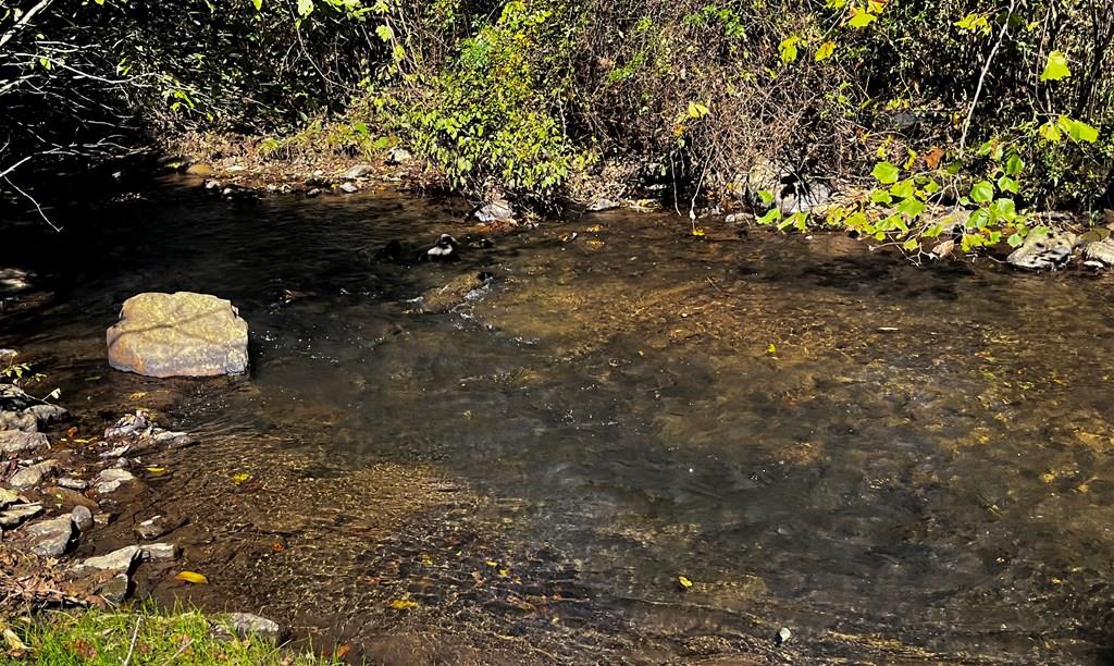 PRICED BELOW TAX ASSESSMENT of $51700. Flippers, Investors, or ambitious people looking to create themselves an economical home, YOU NEED TO HAVE A LOOK! This lot is a tad under an acre of land with approximately 130ft of Poorhouse Creek frontage, a well known trout stream. The home on the property could easily be renovated, but is in a 100yr flood plain, and per FEMA regulations, no new additions can be built to the current home, so the preexisting 1950 portion of the structure has been left as “grandfathered” square footage for possible remodeling and additional square footage. The lot would be an excellent recreational property if a buyer wanted to remove the house and add a camper, or move upward and create a totally new home. The home and land are being sold as-is where is, and is a blank canvas for an innovative buyer. The neighborhood consist of 4 other full time households that share ownership of the road and the newly built bridge leading into the community.The buyer of this property would be responsible to help maintain their portion of the entry road.This property is in the foothills of the Blue Ridge Mountains, just outside of the town of Stuart, making it not only convenient to the trout stream out front, but also to town where there are restaurants, shops, grocery stores, and a new hospital opening soon. Located just 30 mins from Mt. Airy NC,  minutes to the Blue Ridge Parkway, and 25 mins to Fairystone State Park. Usage ideas include Airbnb, residential rental for medical professionals, a long term rental, or a buyer's fulltime resident.