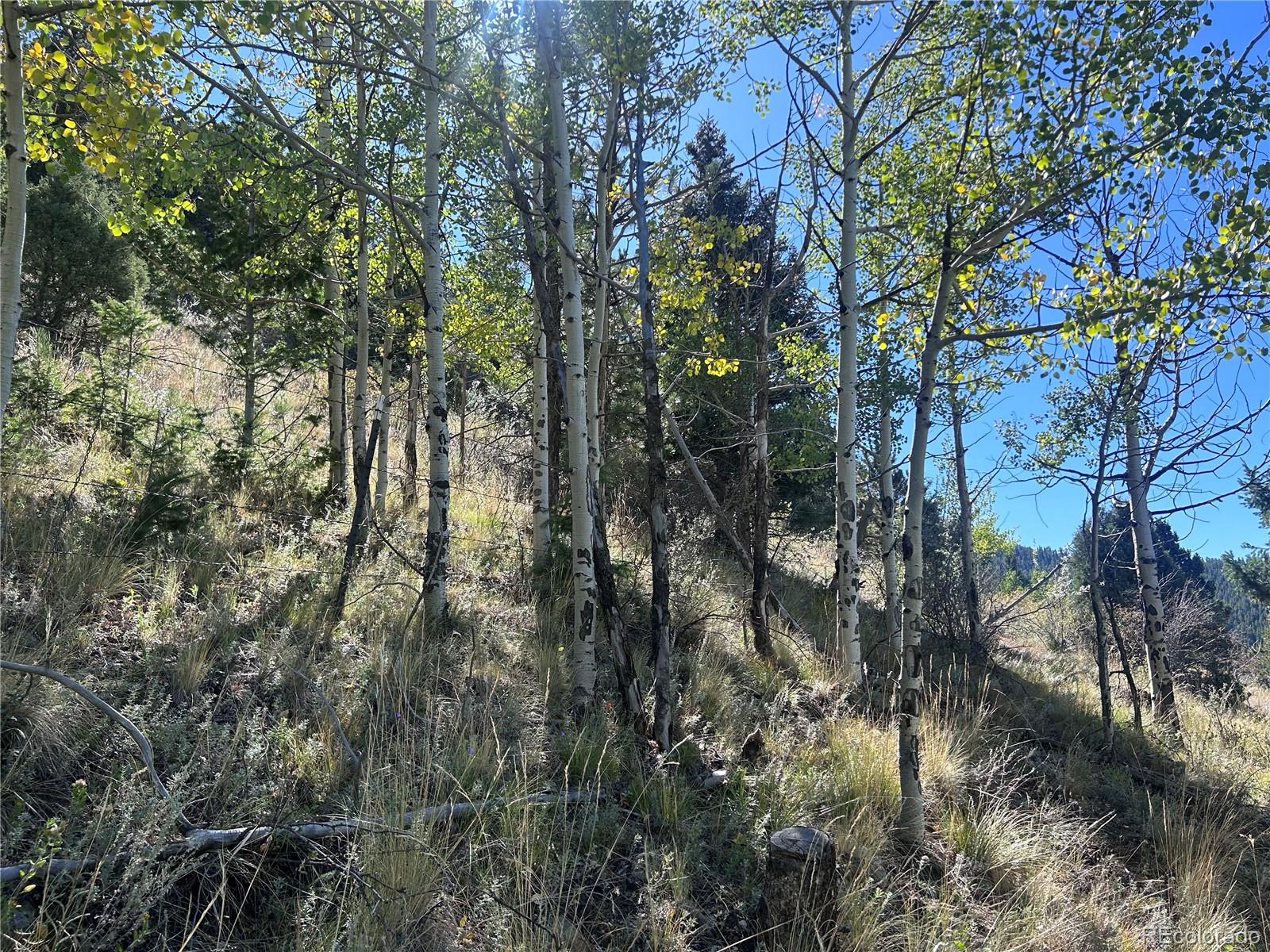 62430 Hwy 285