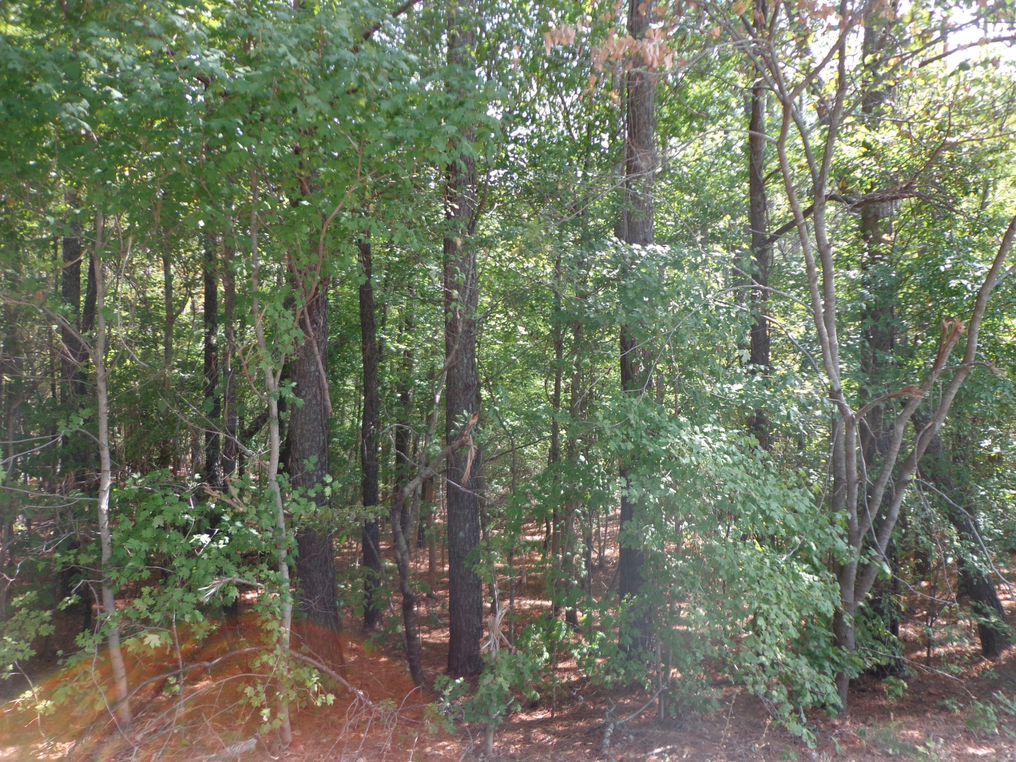 0 Tennessee Ridge Road