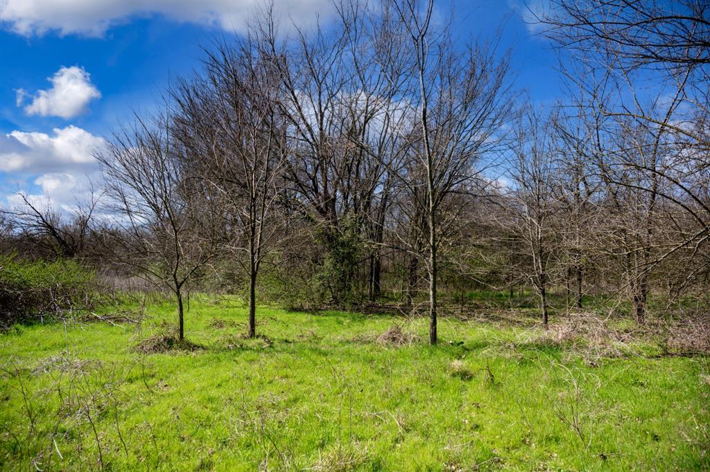 800 County Road 2390