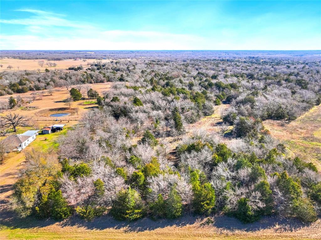 Seller Finance is available. This 10-acre tract of land, ideally situated just 10 minutes south of Wortham and a mere 20 minutes from Corsicana offers the ultimate blend of convenience yet is close to several stunning lakes and the city!  It is one of several that are currently available. With no deed restrictions, a new 4-inch water line and water tap fees have been paid, saving you thousands, the possibilities are endless—whether you're envisioning a large homestead, a weekend retreat, or an investment opportunity. The lush, green landscape is a blank canvas awaiting your vision. The mature trees provide a picturesque backdrop, while the open spaces offer ample room for building, farming, or recreational activities. Enjoy the peace of rural living without sacrificing accessibility to nearby towns and amenities. Photos are of the entire property.