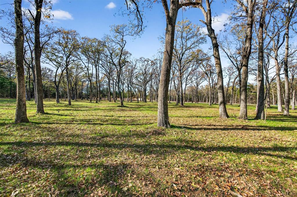 Lot 15 Buck Trail