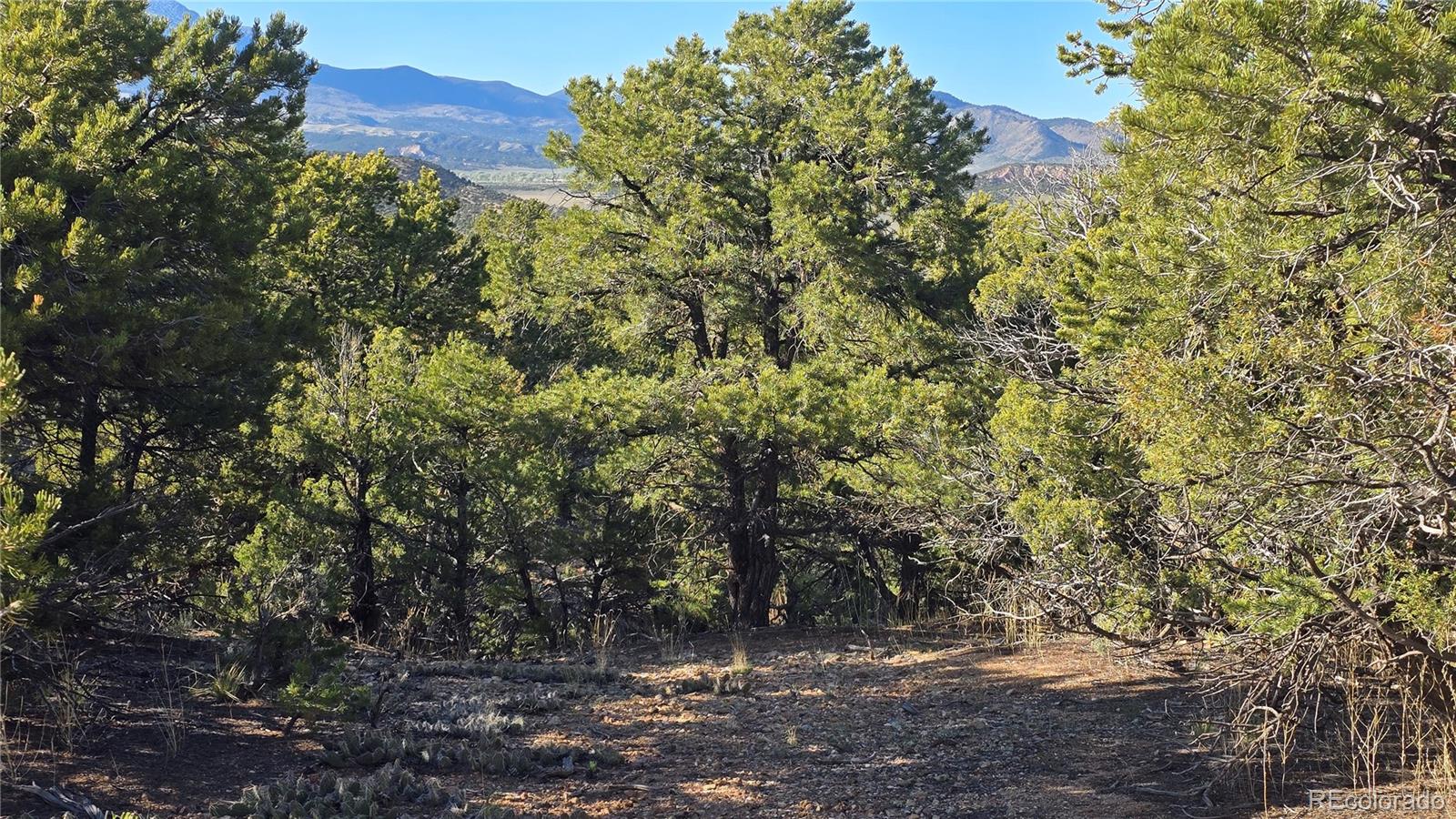 Lot 3886 & 3887 Galloway Road