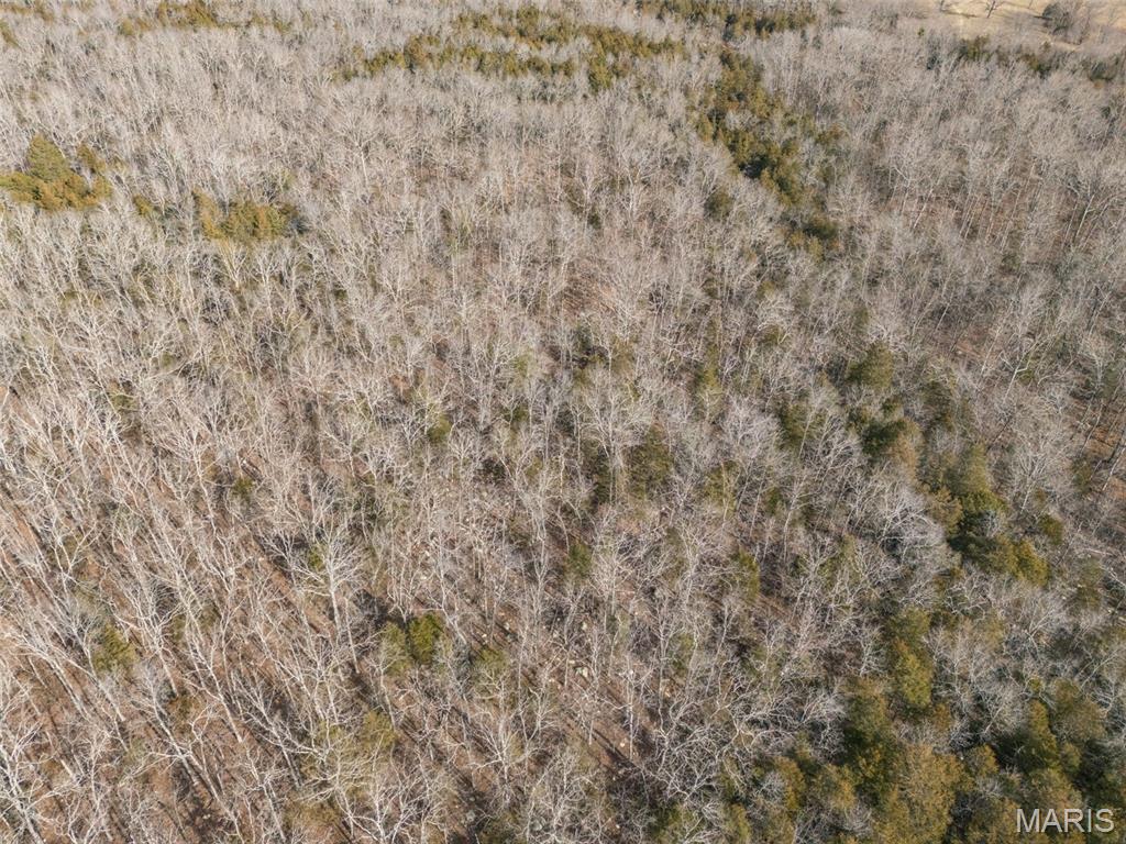 12.5+/- Acres On Effin Road