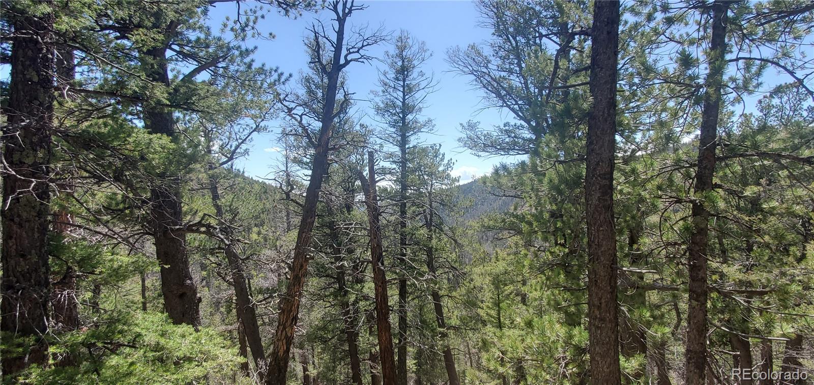 Lot 6764 Kerrigan Road