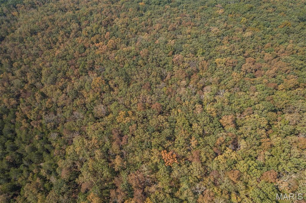 12.5+/- Acres On Effin Road