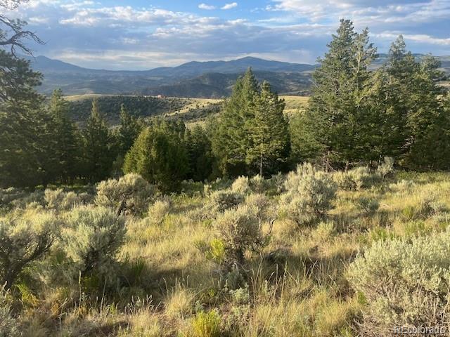 Lot 4630 Spring Road