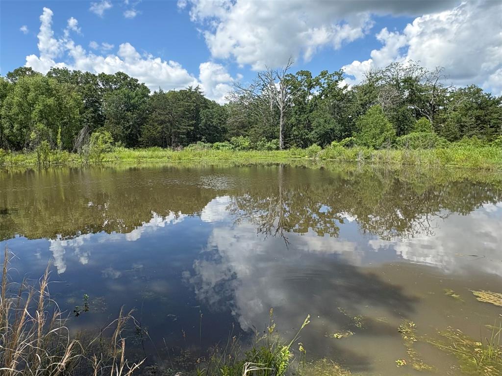 This ag-exempt 24 acres comes with no restrictions & some utilities in place! You’ll find something for everyone—from rolling hills, 3 stock tanks, creek, scattered trees, barn, RV shed, and much more. Pick a scenic building spot for your new home in the quiet countryside or create a weekend get-away that you has always wanted. An abundance of available surface water provides many unique opportunities and lasting recreational enjoyment for the whole family and friends. The lower end of the property comes with a creek that offers additional areas for hunting and more outdoor fun. A barn gives you a spot for storage and a place for a few animals or use it as a campsite near the stock tanks and trees. Park your recreational vehicle under a covered RV shed or store equipment out of the weather. Within 73 minutes from downtown Dallas, this property is also centrally located between Greenville and Sulphur Springs for the best of both worlds (shopping, restaurants, and community activities). Swap out city traffic jams for quiet country lanes while also having easy access to Interstate 30 a few miles away.  A big bonus includes a water meter and electricity already installed and in place for your personal use. Find this picturesque setting in Cumby, Texas!