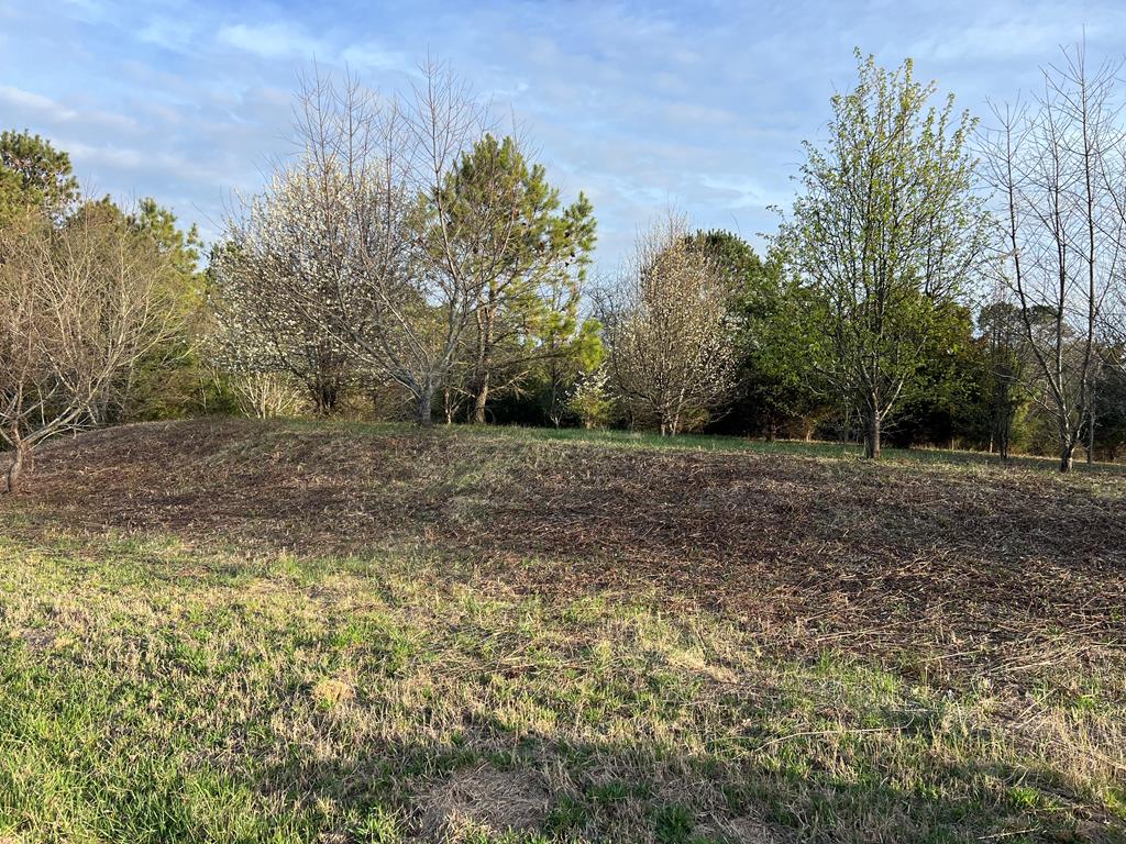 Lot 50 Butler's Bluff Dr 50&1B
