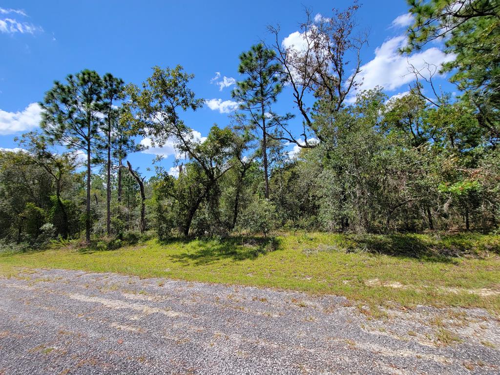 Lots and Land for sale in Dunnellon, Florida, 788165