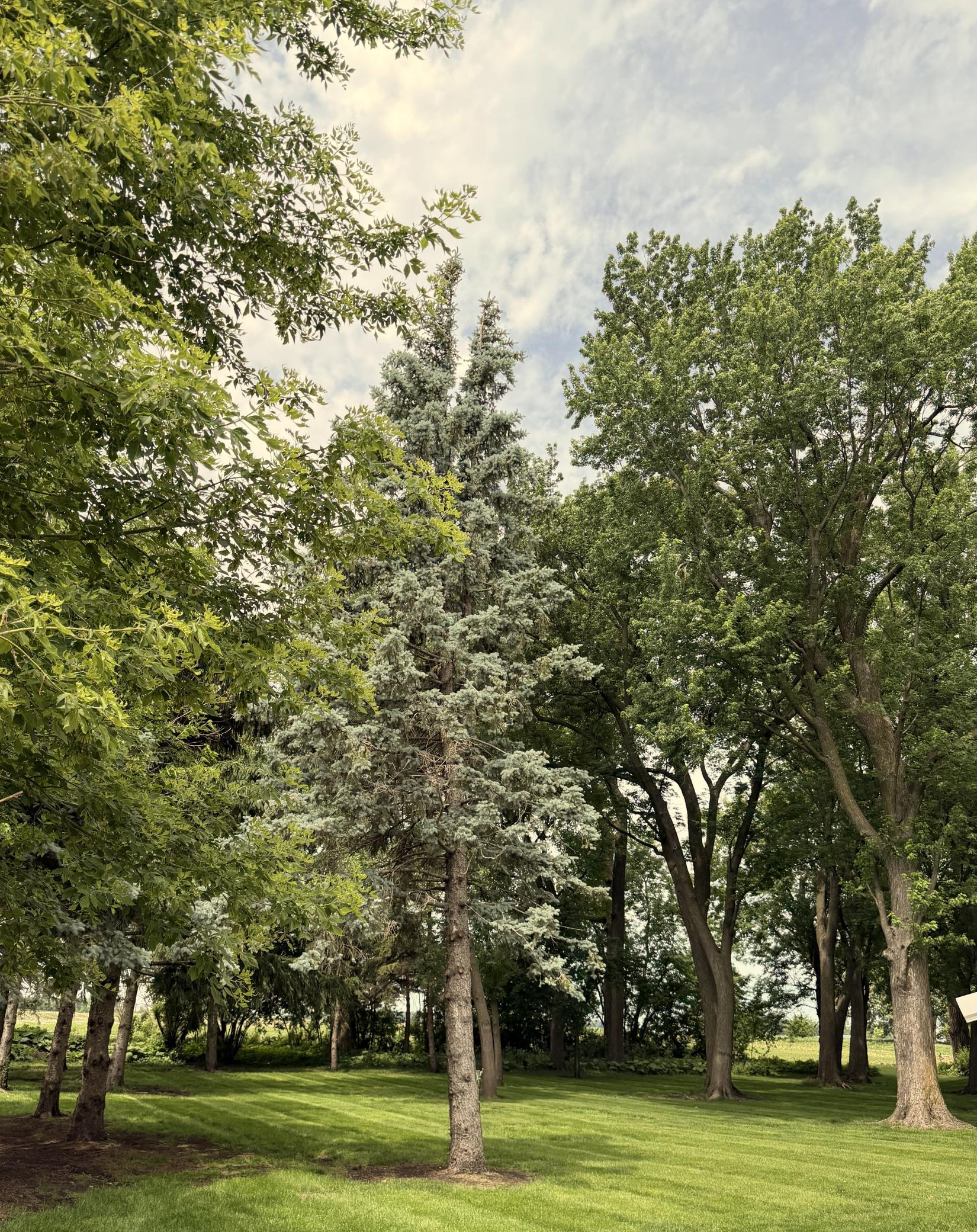 41347 Us Hwy 71 N