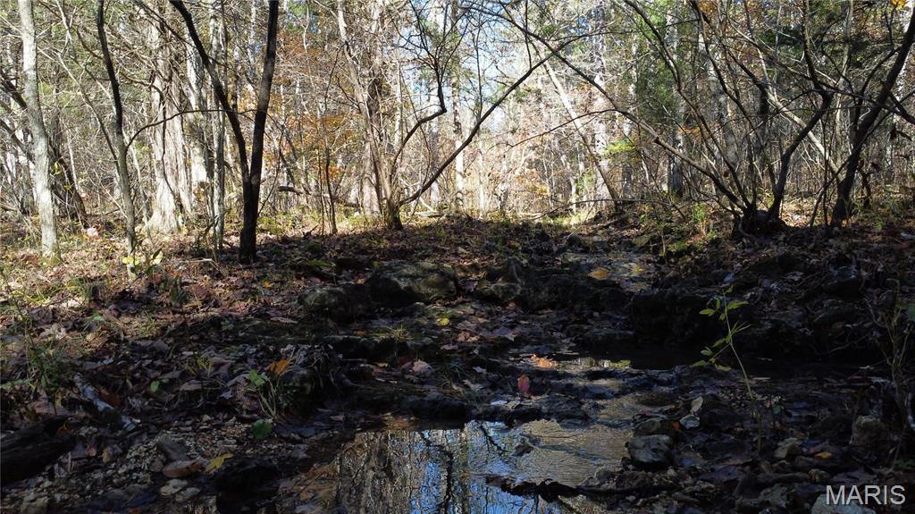 10256 Christina Trail