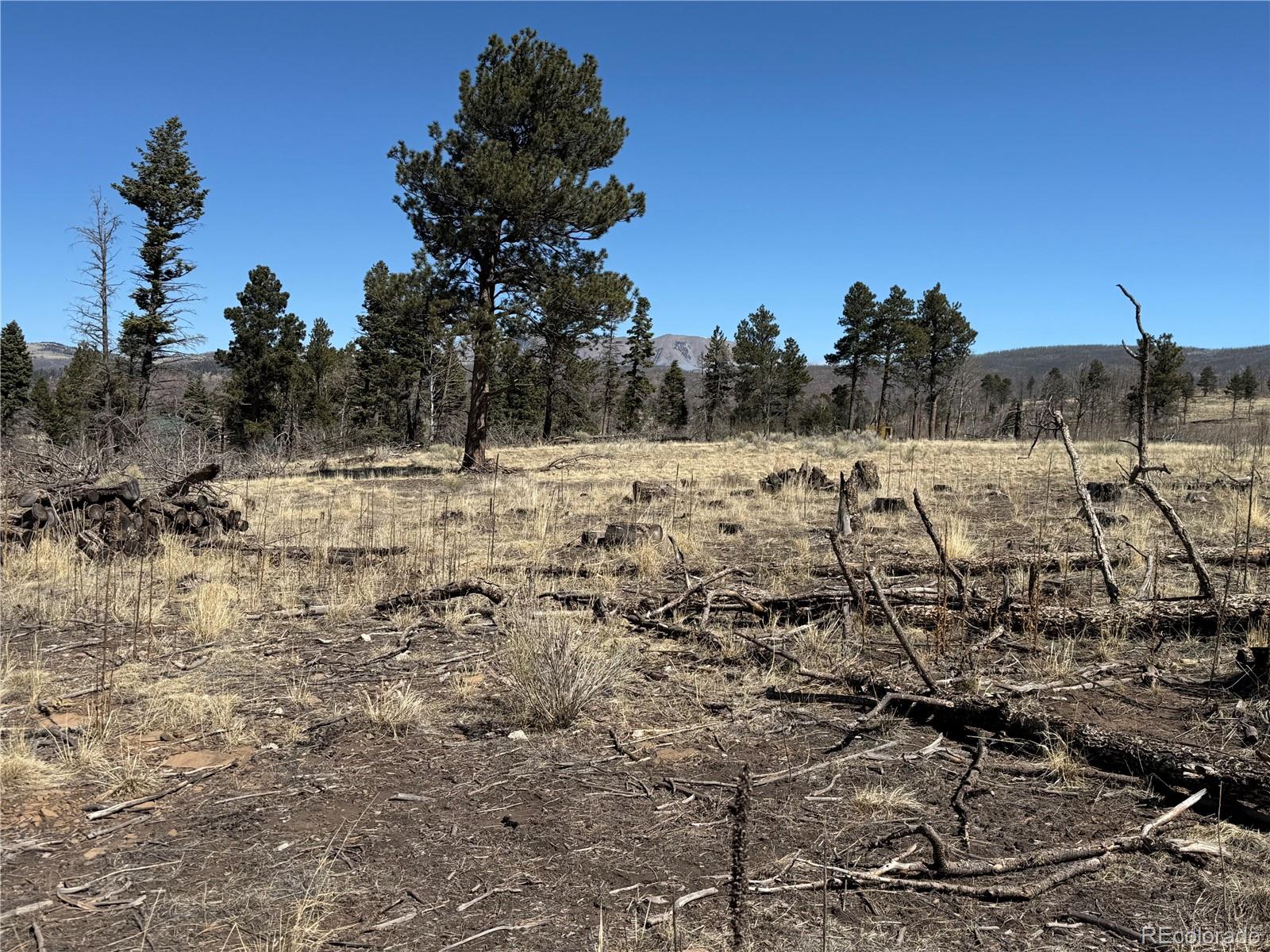 Lot 999 Foy Place