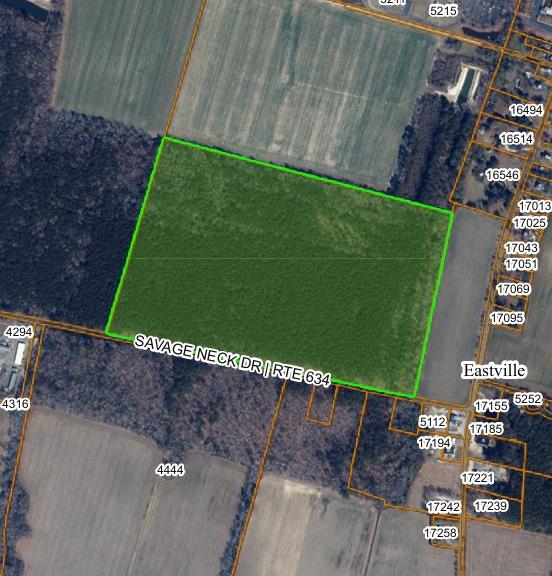 Discover the rare opportunity to own 89 acres of mature woodland along scenic Savage Neck Road, just minutes from the historic town of Eastville. This expansive Eastern Shore tract offers exceptional privacy, natural beauty, and endless potential for recreation or conservation. Great location for turkey and deer hunting!