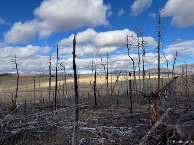 Lot 2397 Petito Drive