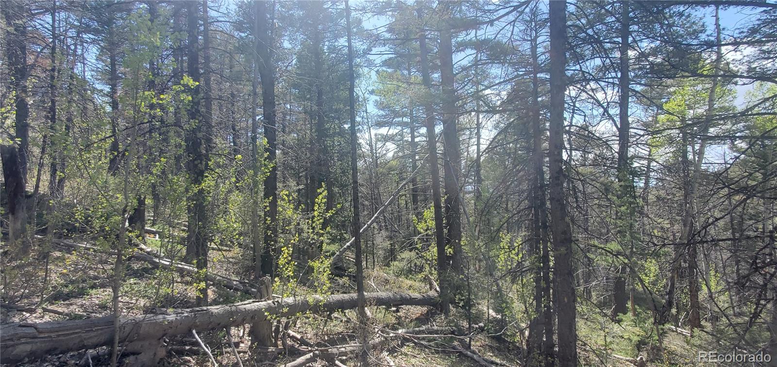 Lot 5610 Dawson Road