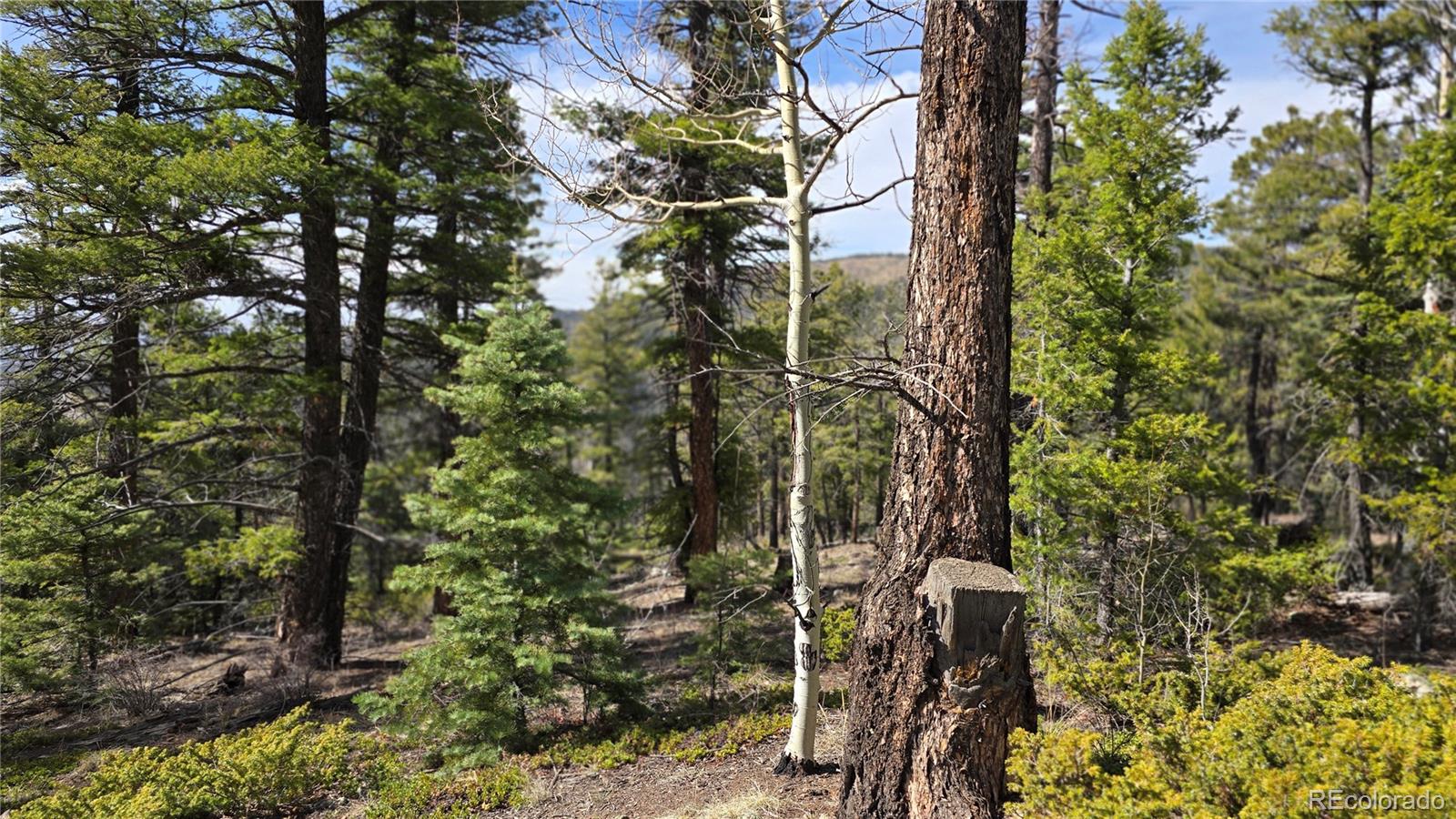 Lot 6070 Vreeland Road