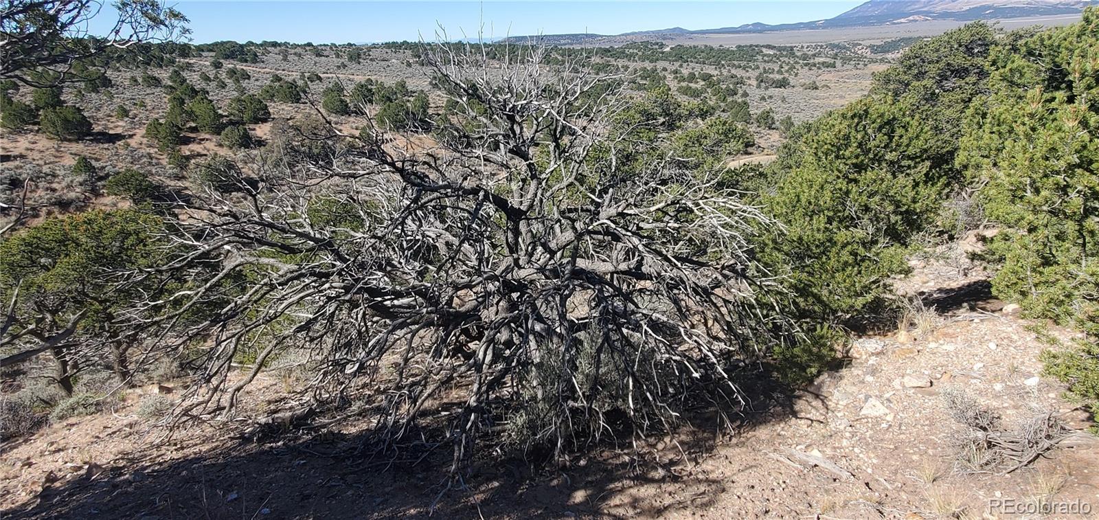Lot 7356 Bidwell Road