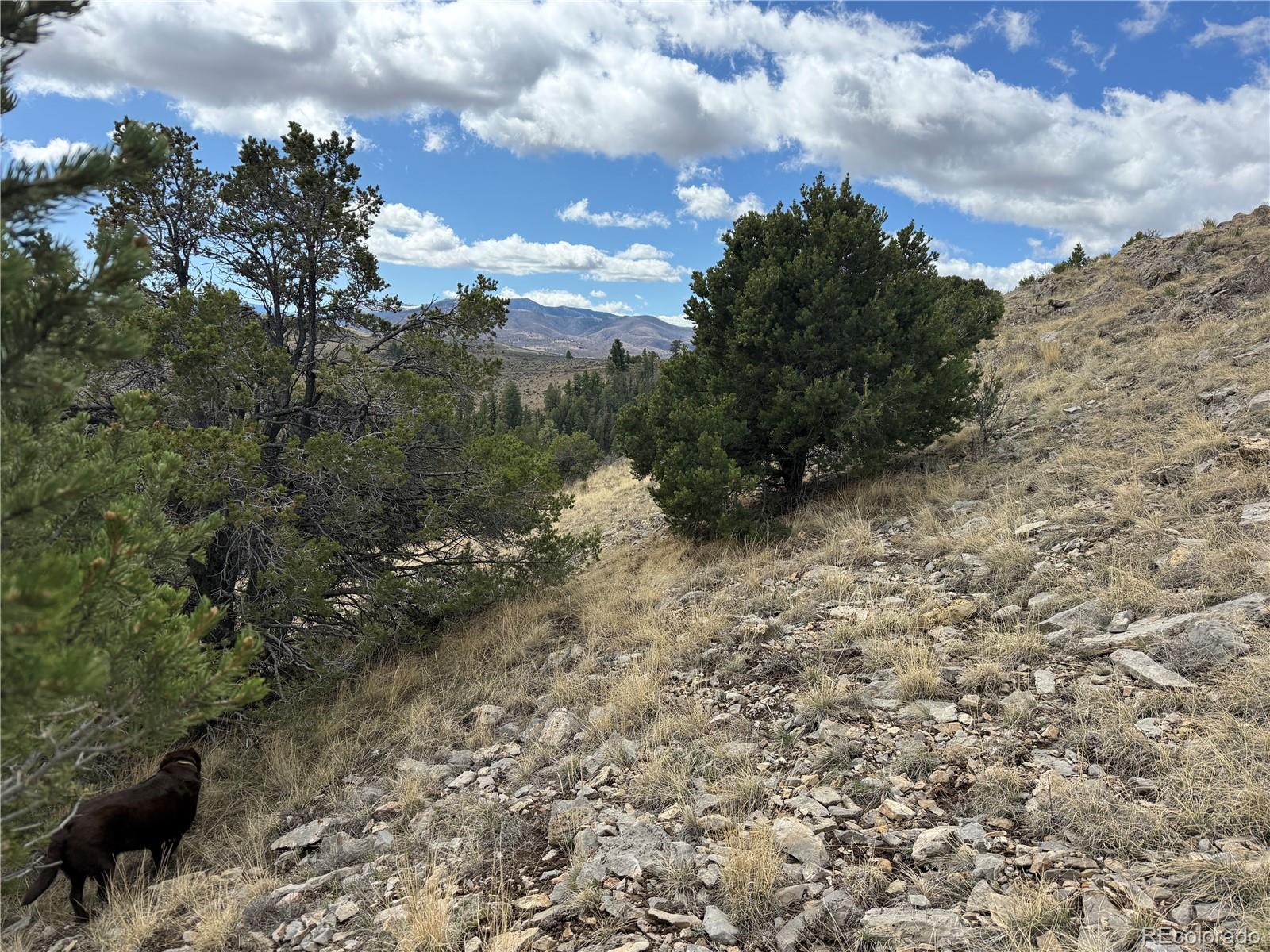 Lot 117 Lautenburg Drive