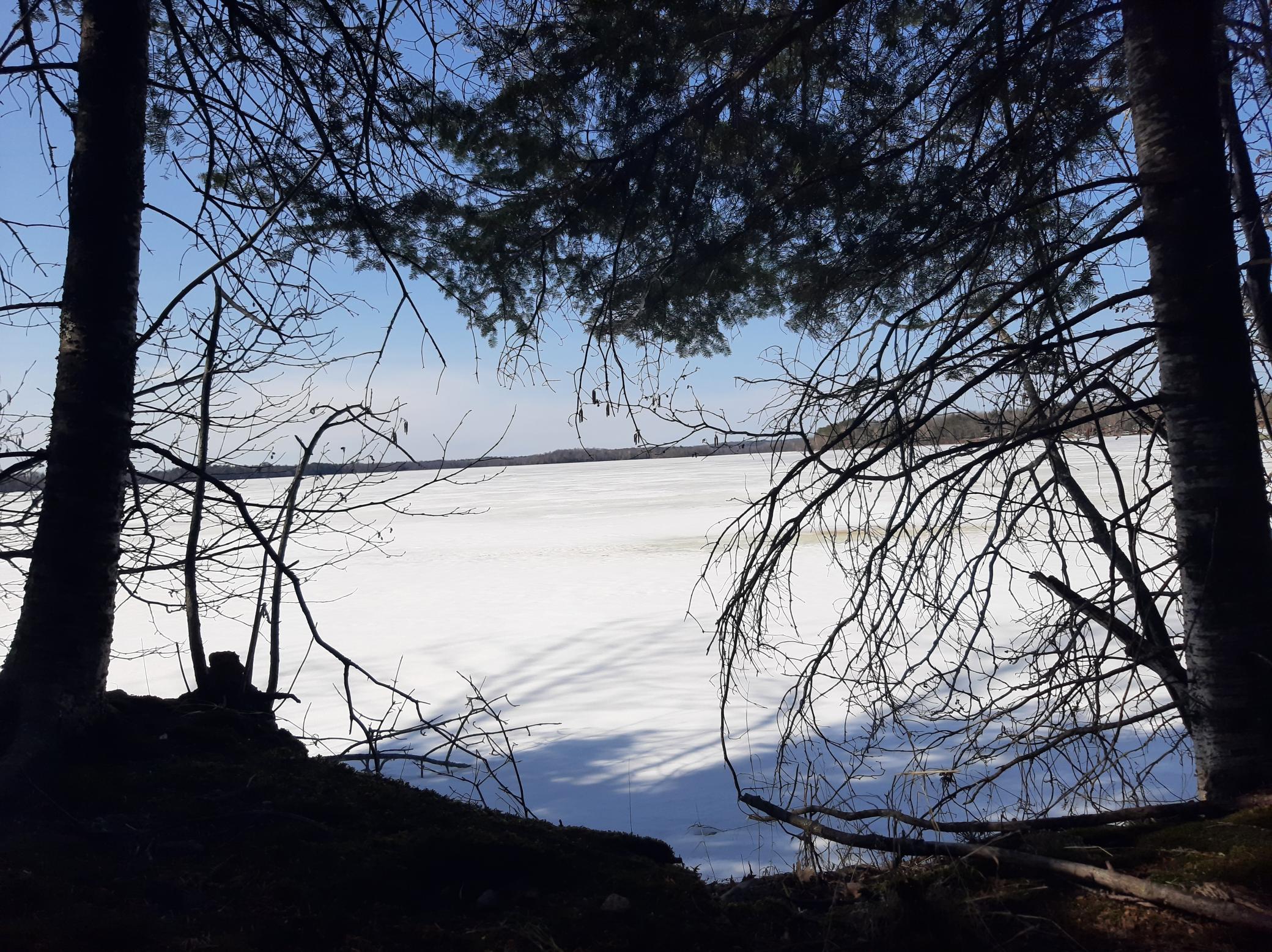 TBD Washburn Bay Trail NE
