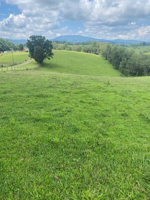 AWESOME VIEWS FROM THIS 44.86 ACRES with a mixture of woods and fenced pasture. Several springs and streams and long road frontage. Located near the New River and conveniently located just minutes from the Town of Independence and Sparta. Come take a look and pick your building spot and have plenty of room for livestock and horses.