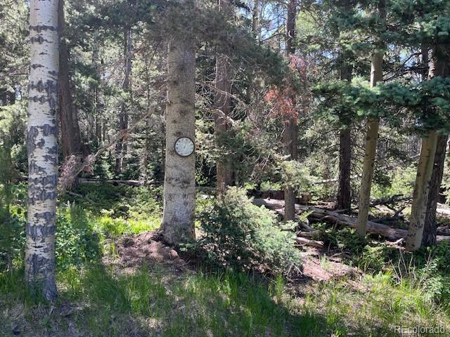 Lot 2684 Coder Place