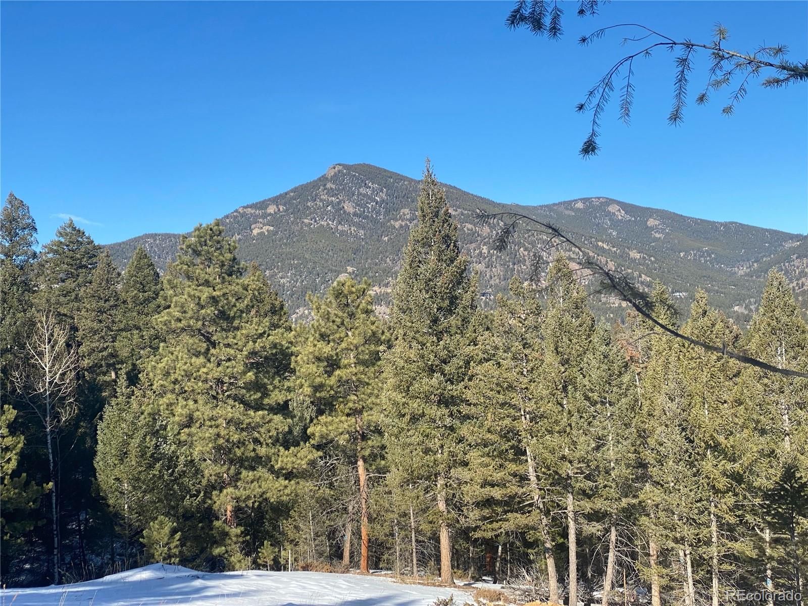 33884 Bergen View Trail