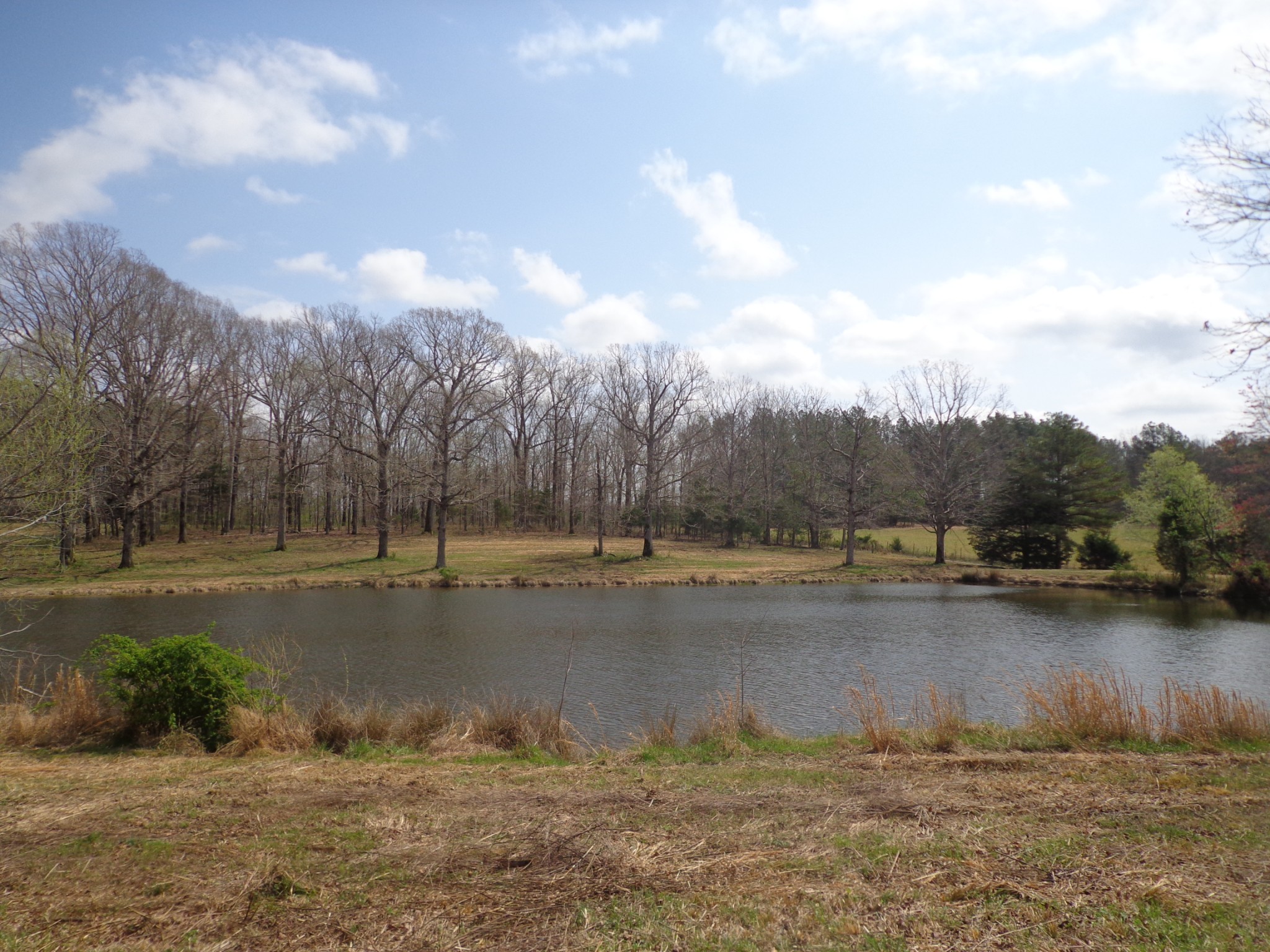 1551 Tennessee Ridge Road
